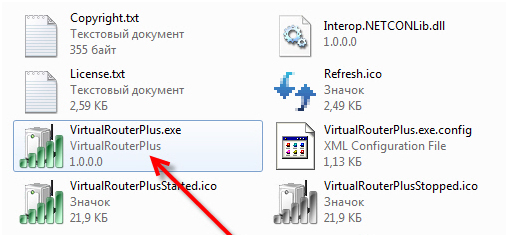 Virtual router plus